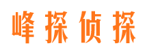 天心市调查公司